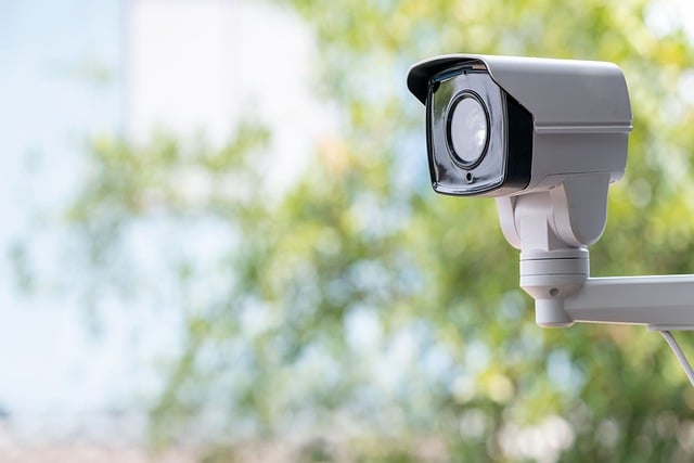 Sådan overvåger du dine placeringer i Google manuelt og automatisk