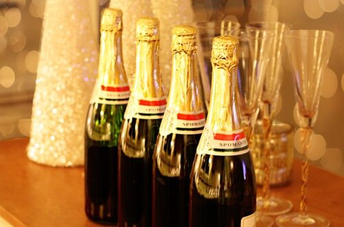 Champagneskåle: Hvordan vælger du den rigtige størrelse til din fest?